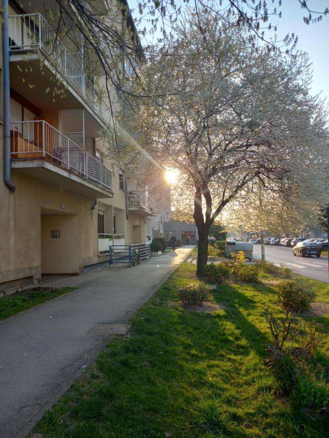 Apartment Jarun Comfort Zagreb Eksteriør bilde