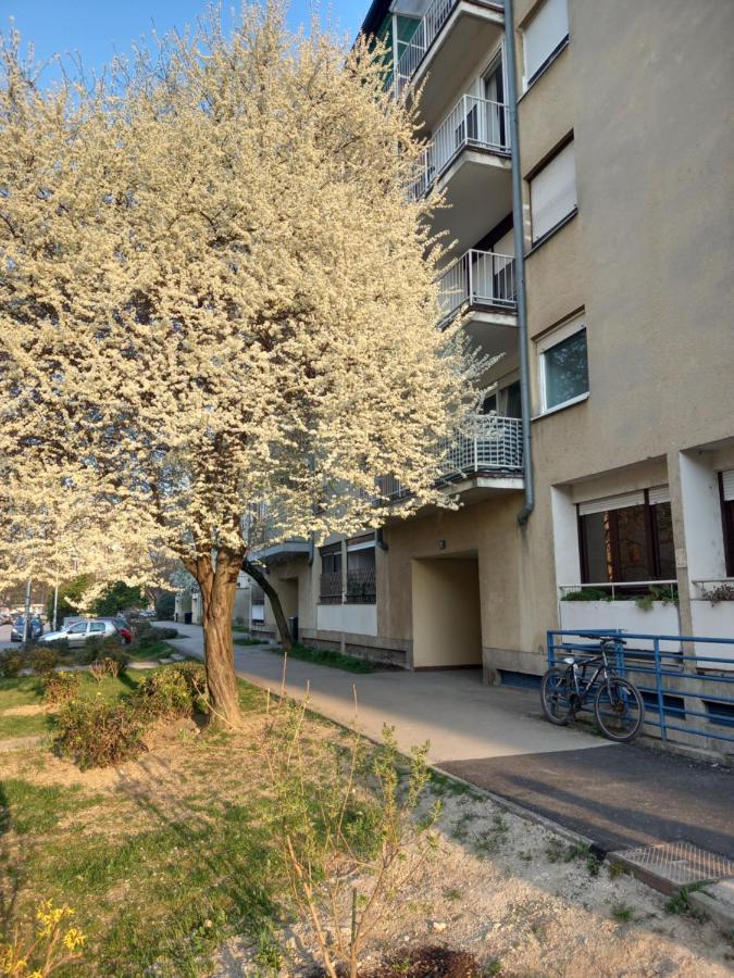Apartment Jarun Comfort Zagreb Eksteriør bilde